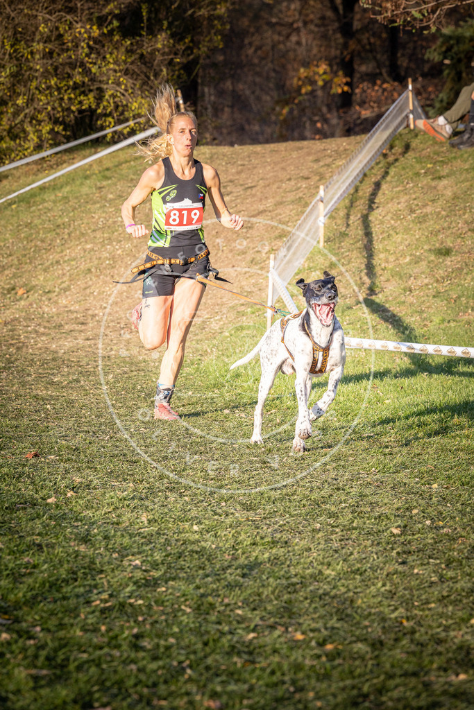 CaniXpix_0L8A0502 | Hundefotografie, Tierfotograf, Pfotenfotografie, Fotoshooting Hund, Hunde Portrait, Hundesport, Hundeportraits, Heideshooting, Hunde, Sportfotograf, Hundefotograf, Turnierhundsport, THS,  - Realisiert mit Pictrs.com