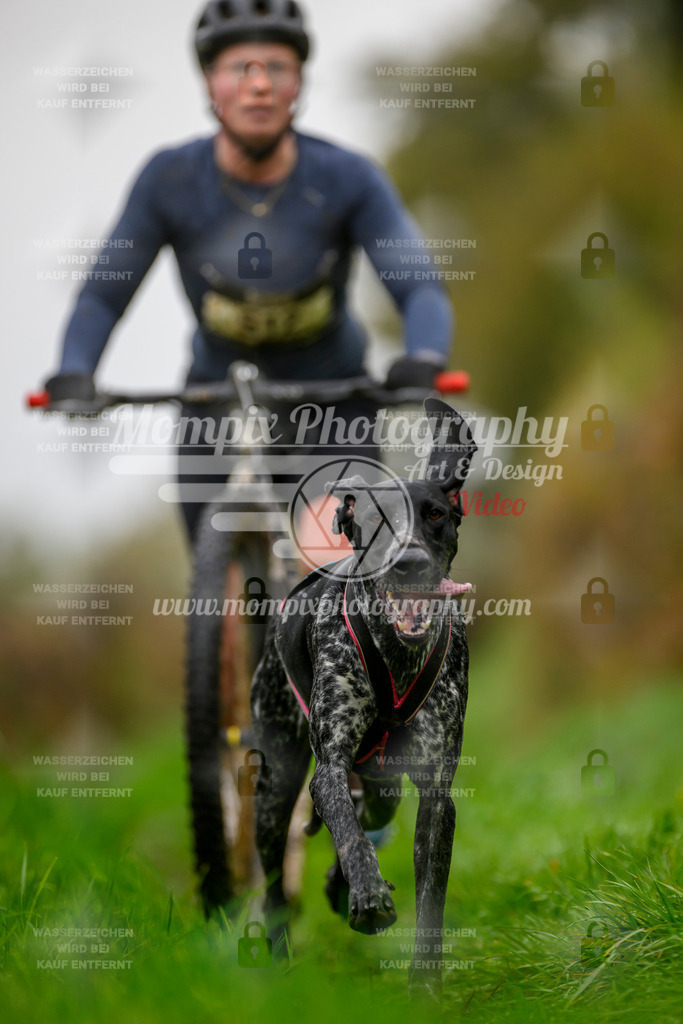 MompixPhotography_20TSB_E8_DS1-29 | PayLife