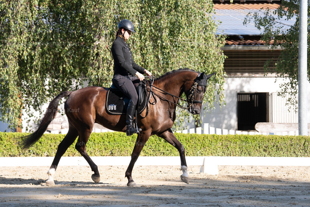 WL_DR_25_sinafilmart_IN05892 | working equitationturnier fotograf videograf stoibphotography marixx film working equitation deutschland reitsport turnierfotografie eventfotografie equestrian events