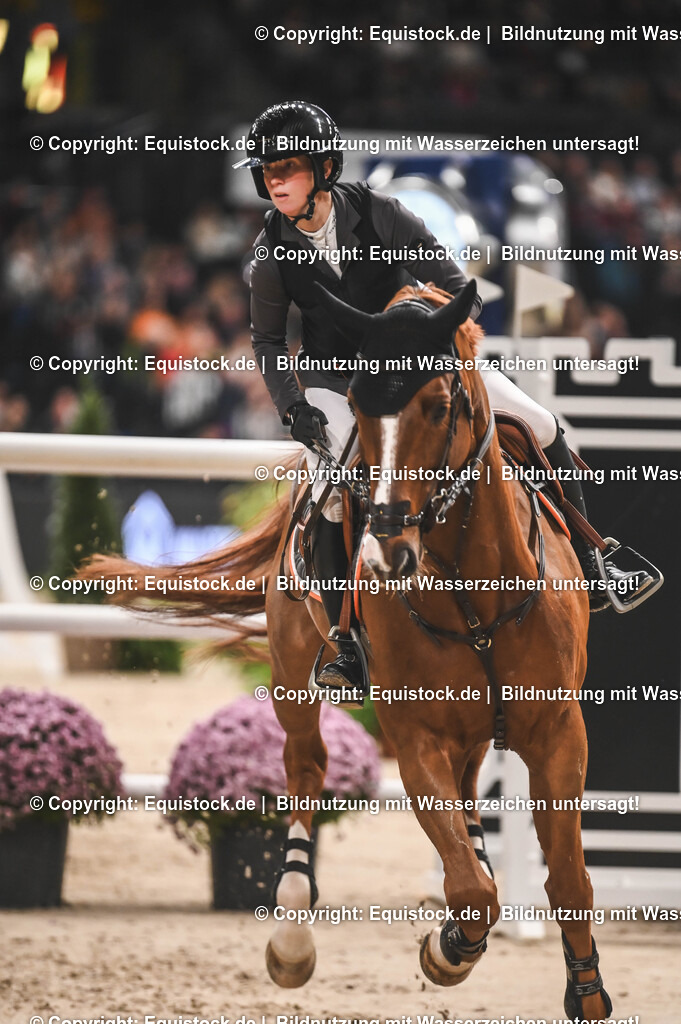 20241117_Großer-Preis_TOMsPiC_0312 | Foto: Thomas Hartig