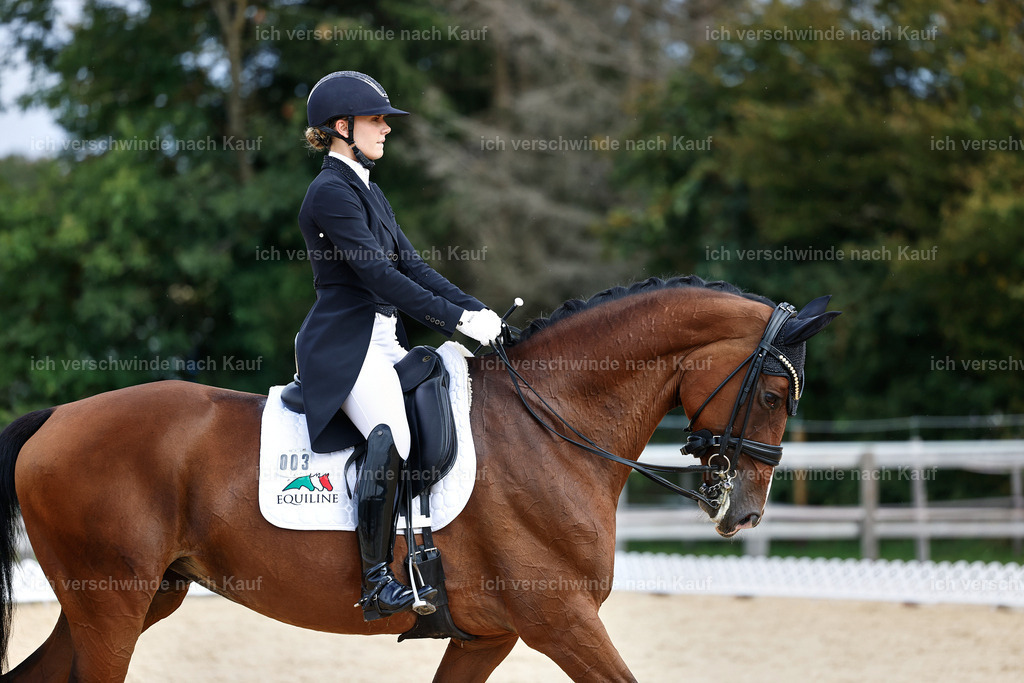 11-003-Dressur S___-StoibPH-1071 | working equitationturnier fotograf videograf stoibphotography marixx film working equitation deutschland reitsport turnierfotografie eventfotografie equestrian events
