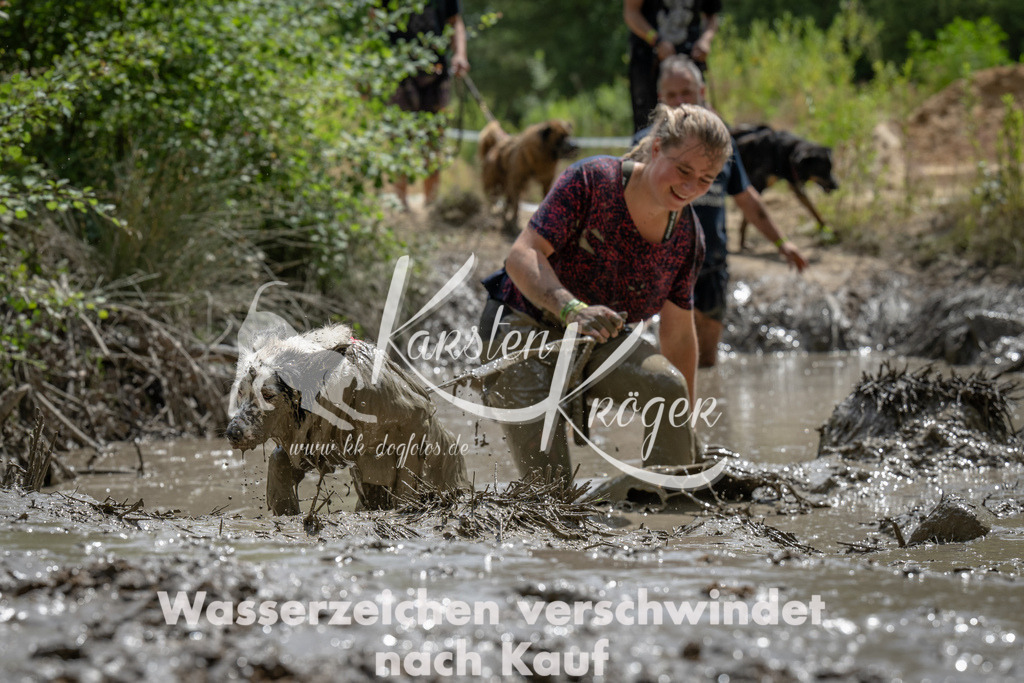 1437_ZZ93329 | kk-dogfotos
