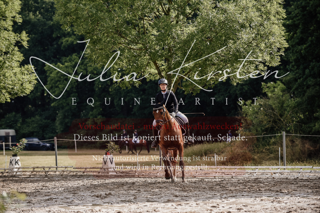 DSC_8926 | Pferde- und Turnierfotografie in Westsachsen. Pferdeportraits, Auftragszeichnungen und intuitive Kunst.