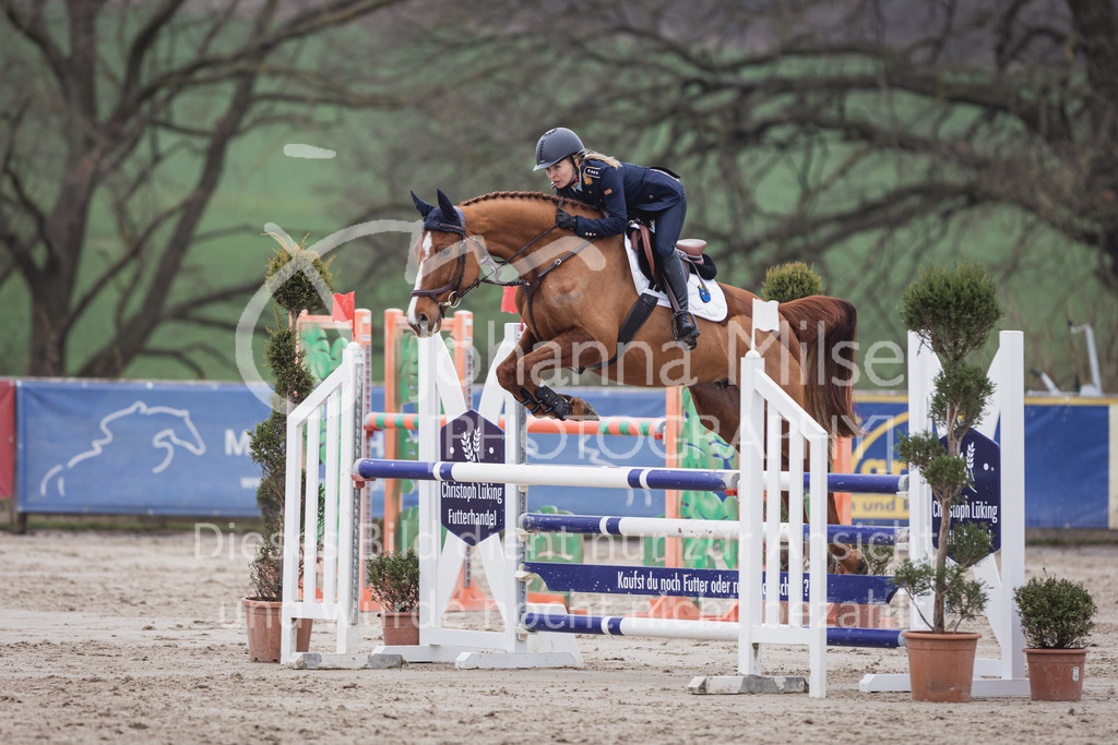 230408_Frühlingsfest_Stil-L-3-827 | Deine schönsten Turniermomente als professionelle Fotos! Entdecke hochwertige Pferdesport-Fotografie im Online-Shop. Jetzt Fotos finden & bestellen!