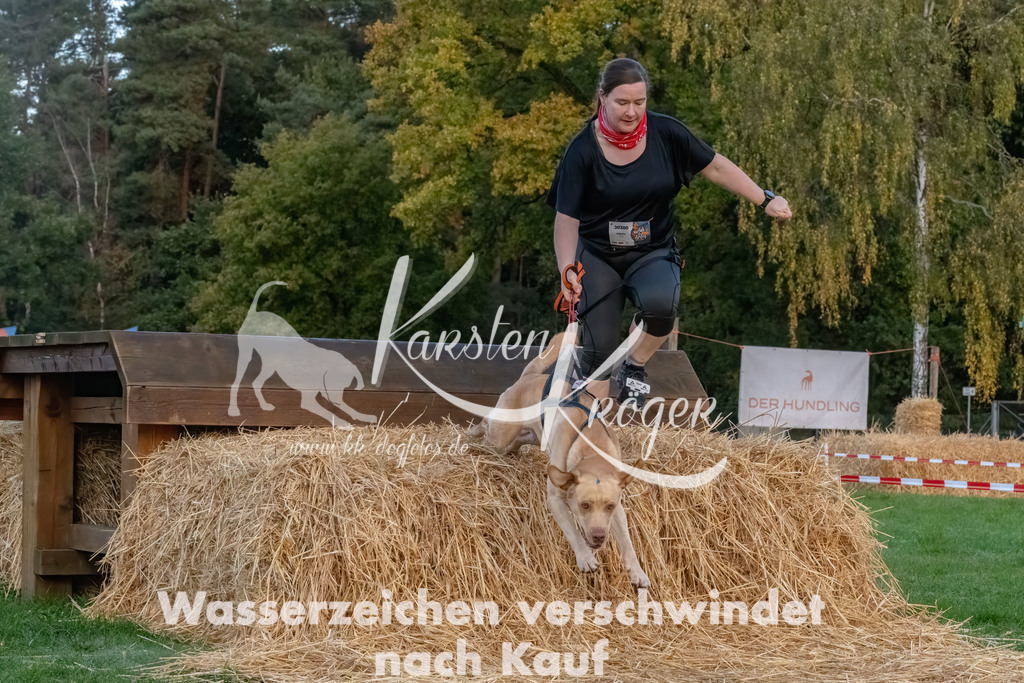 0810_ZZ94574-Bearbeitet | kk-dogfotos