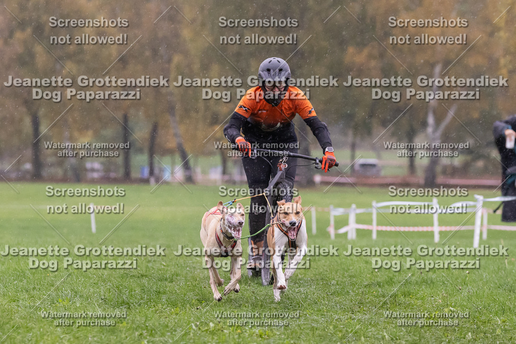 Dog Paparazzi - SD CaniX Championship 2025-880 | Dog Paparazzi Jeanette Grottendiek Fotografie & Videografie - Realisiert mit Pictrs.com