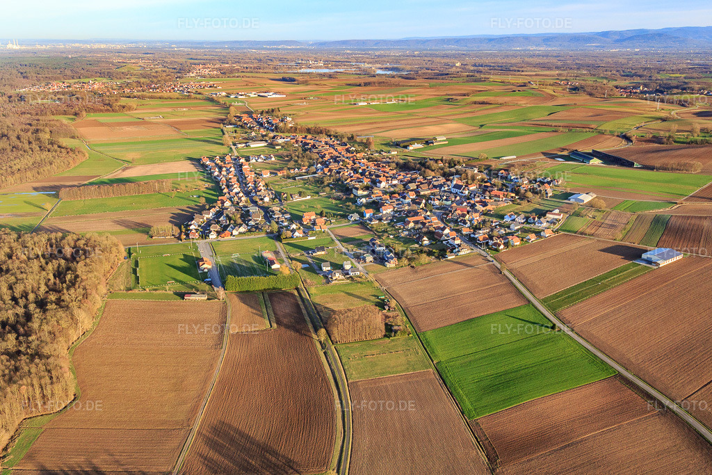 Luftbild: Ortsansicht von Westen in Niederlauterbach im Bundesland Bas-Rhin in Frankreich. – Foto: IMG_085992.jpg vom 06.02.2016 durch Werner Riehm/FLY-FOTO.de – Auflösung des Originals: 5167 x 3445 px