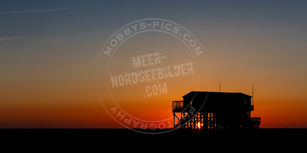 Silbermöwe im Sonnenuntergang | Abendstimmung am Strand