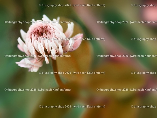 titusgraphy_P7022021-vz-ln_pe-02 | titusgraphy-shop: Geschenkideen mit Qualitätsfotos. titusgraphy-shop: gift ideas with quality photos. titusgraphy-shop: idées cadeaux avec photos de qualité.  - Realisiert mit Pictrs.com