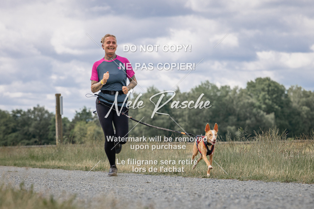 nelerasche_BuHu2026_SaCC1100-1200_175 | nelerasche