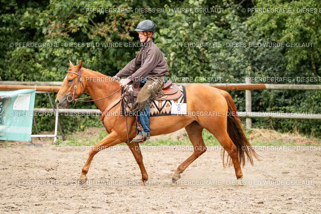 DSC01358 | Pferdegrafie