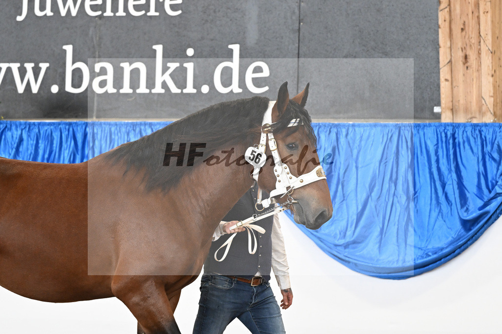 Kat-Nr. 56 Ruck Zuck v. Ratz Fatz_Schwaiger_39250880 | hf-fotografie - Realizzato con Pictrs.com