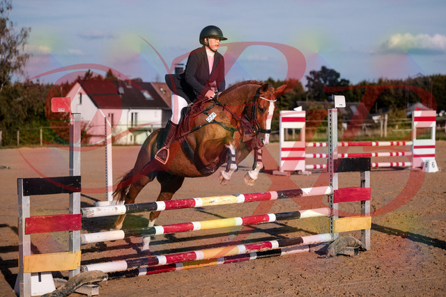2026_10_03_Siefer-Hof_171707_Z81_14749098 | Professionelle Reitsport-, Turnier- und Eventfotografie von Robert Broda. Galerien mit ausgewählten und bearbeiteten Bildern direkt online ansehen und bestellen.