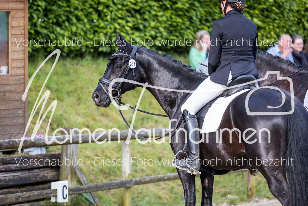 Donop24-A-Dre-100 | MomenTaufnahmen Pferdesportfotos