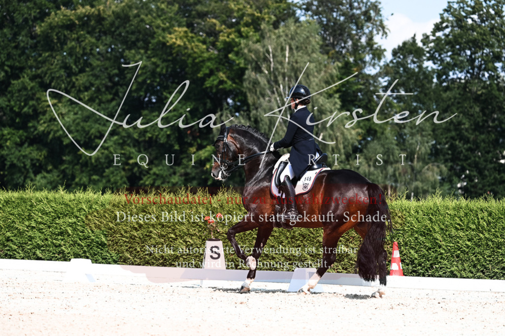 DSC_3385 | Pferde- und Turnierfotografie in Westsachsen. Pferdeportraits, Auftragszeichnungen und intuitive Kunst.