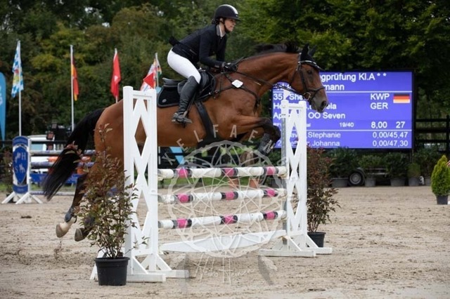 2B4A1537 | pixelfaenger - Realisiert mit Pictrs.com