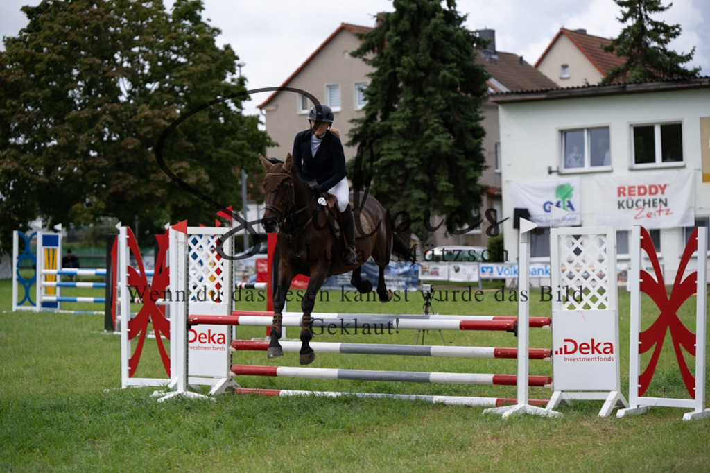 A7V03943 | Pferdefotograf