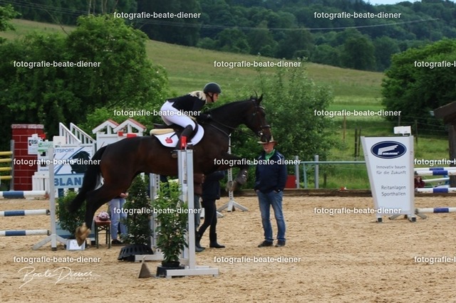 OHT1631 | Fotografie, Tiere, Hunde, Katzen, Pferde, Sportfotografie, Fotosession, Tierfotografie, Turnierfotografie, Fotografin, Fotograf - Realisiert mit Pictrs.com