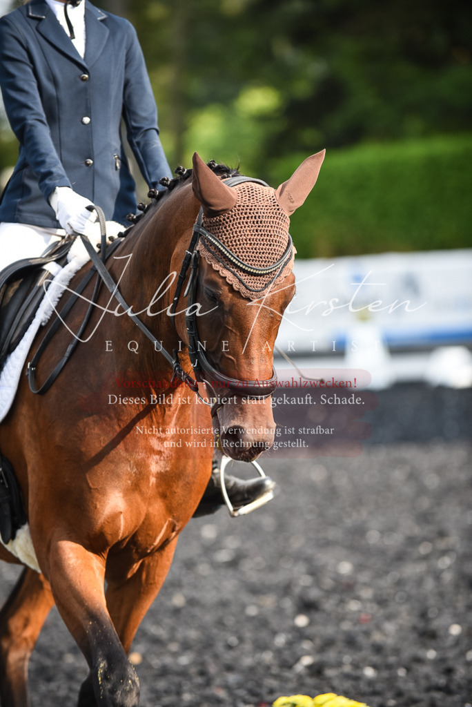 DSC_3355 | Pferde- und Turnierfotografie in Westsachsen. Pferdeportraits, Auftragszeichnungen und intuitive Kunst.