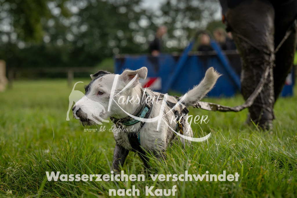 1006_ZZ90609 | kk-dogfotos