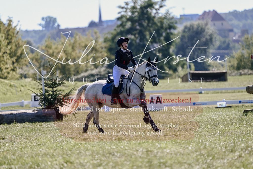 DSC_3187 | Pferde- und Turnierfotografie in Westsachsen. Pferdeportraits, Auftragszeichnungen und intuitive Kunst.
