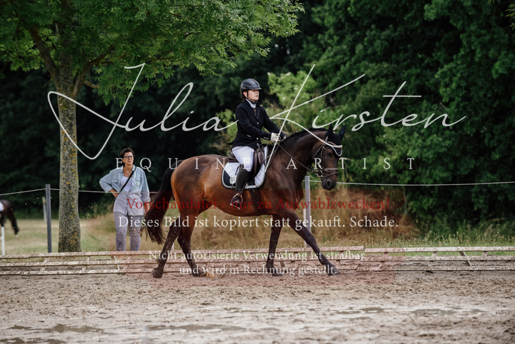 DSC_0793 | Pferde- und Turnierfotografie in Westsachsen. Pferdeportraits, Auftragszeichnungen und intuitive Kunst.