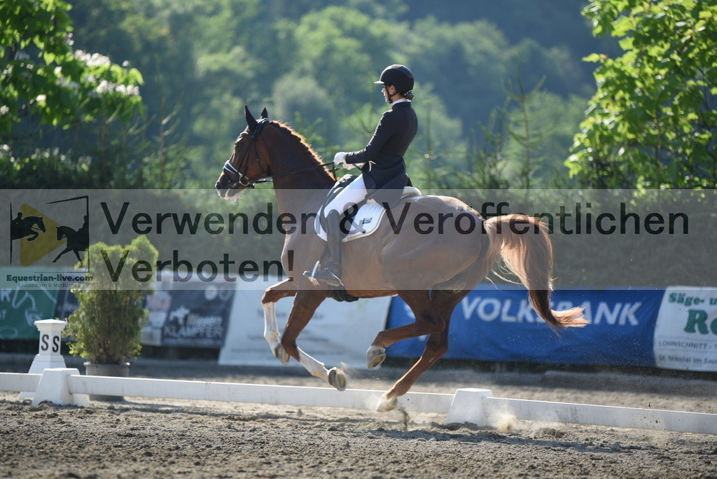 DSC_2884 | equestrian-live-com