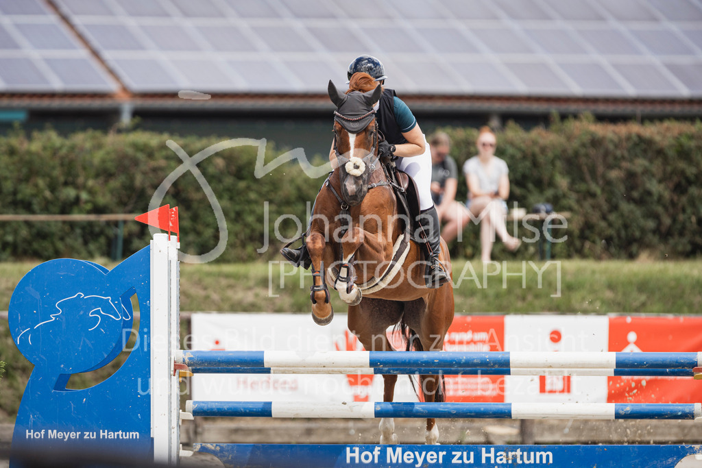 250629_PfSpTa_L-Spr2-418 | Deine schönsten Turniermomente als professionelle Fotos! Entdecke hochwertige Pferdesport-Fotografie im Online-Shop. Jetzt Fotos finden & bestellen!