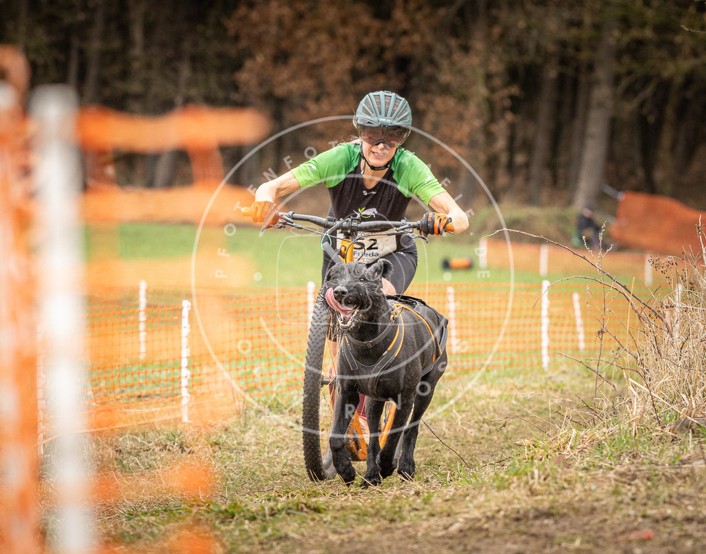 DV3A1540 | Hundefotografie, Tierfotograf, Pfotenfotografie, Fotoshooting Hund, Hunde Portrait, Hundesport, Hundeportraits, Heideshooting, Hunde, Sportfotograf, Hundefotograf, Turnierhundsport, THS,  - Realisiert mit Pictrs.com