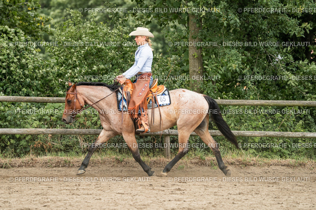 DSC04193 | Pferdegrafie