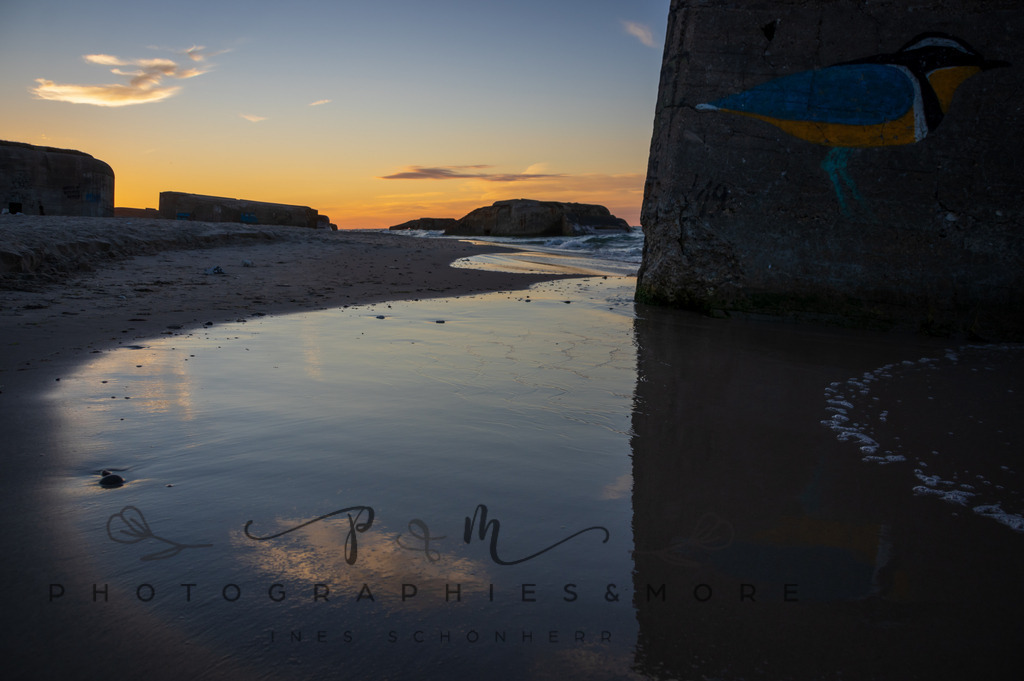 _Sommer2022-0907 | Photographies and more - Realisiert mit Pictrs.com