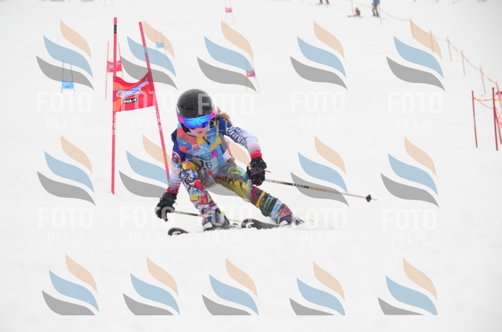 C0645 | holidayphoto