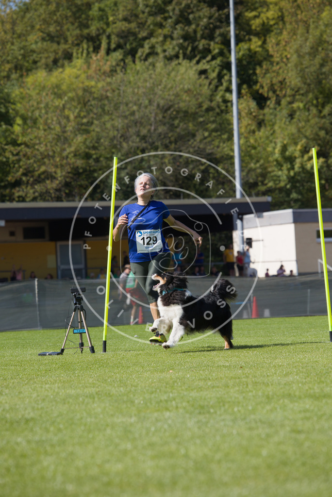 0L8A2905 | Hundefotografie, Tierfotograf, Pfotenfotografie, Fotoshooting Hund, Hunde Portrait, Hundesport, Hundeportraits, Heideshooting, Hunde, Sportfotograf, Hundefotograf, Turnierhundsport, THS,  - Realisiert mit Pictrs.com