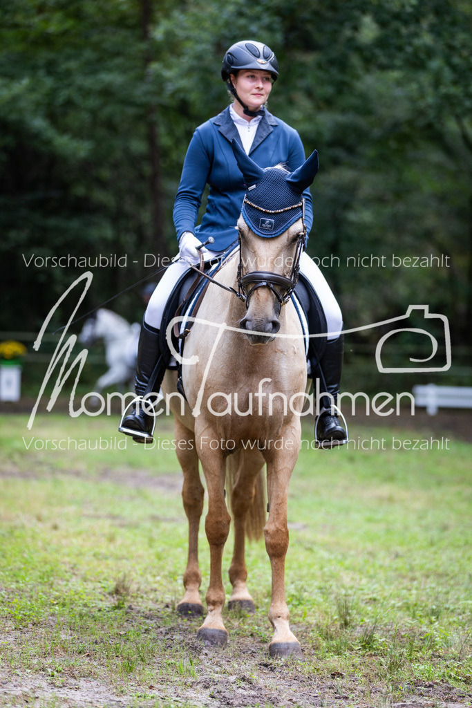 HB-A-Dressur-080 | MomenTaufnahmen Pferdesportfotos