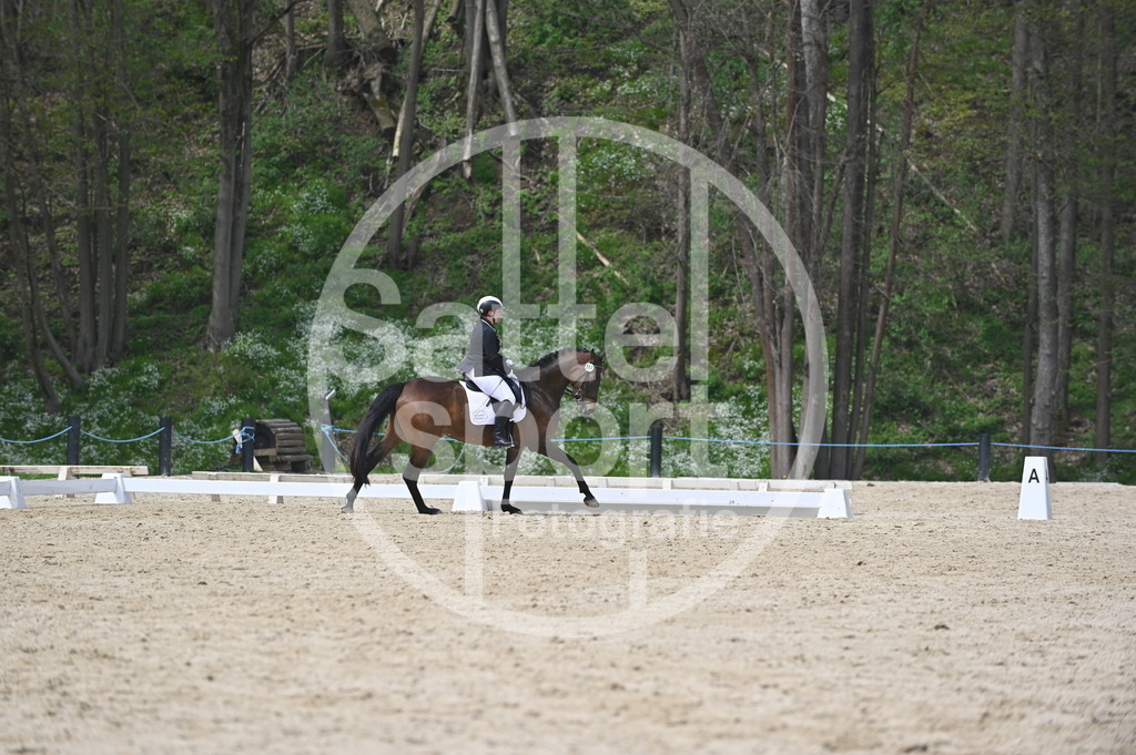 DSC_3279 | sattelsport - Realisiert mit Pictrs.com