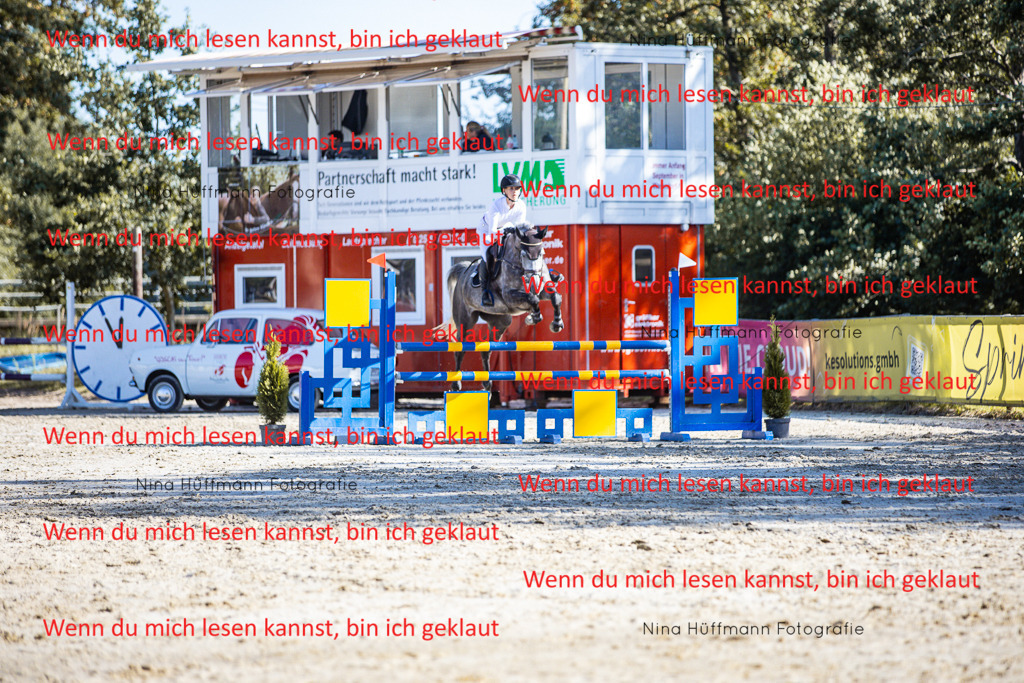 BK1A5926 | Turnierbilder Turnierfotos Nina Hüffmann Turnierfotografie Pferdefotografie Tierzeichnung Haustierzeichnung Pferdezeichnung Hundezeichnung Videograf  - Realisiert mit Pictrs.com