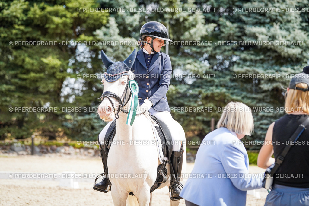 DSC02293 | Pferdegrafie