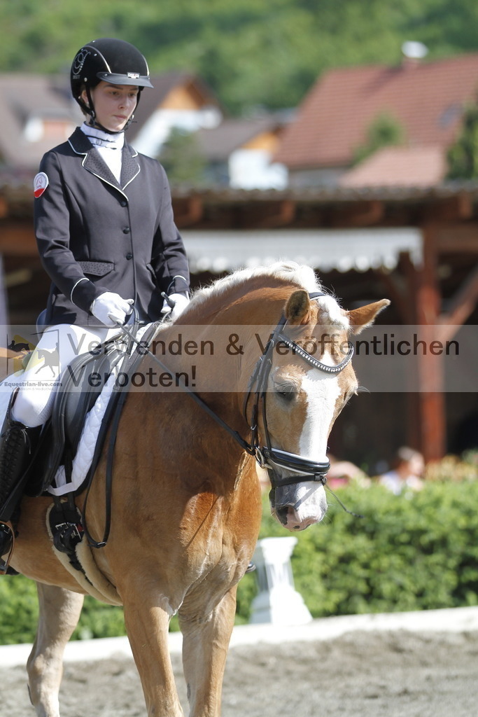 _MG_9484 | equestrian-live-com