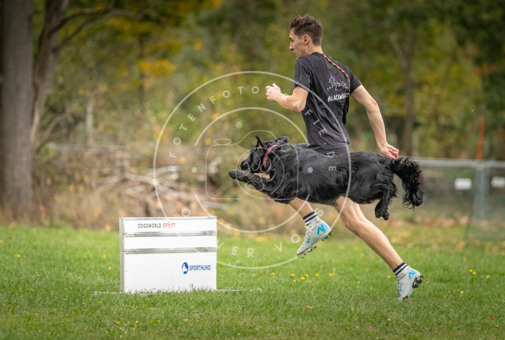 Pfotenfotografie_DV3A0075 | Hundefotografie, Tierfotograf, Pfotenfotografie, Fotoshooting Hund, Hunde Portrait, Hundesport, Hundeportraits, Heideshooting, Hunde, Sportfotograf, Hundefotograf, Turnierhundsport, THS,  - Realisiert mit Pictrs.com