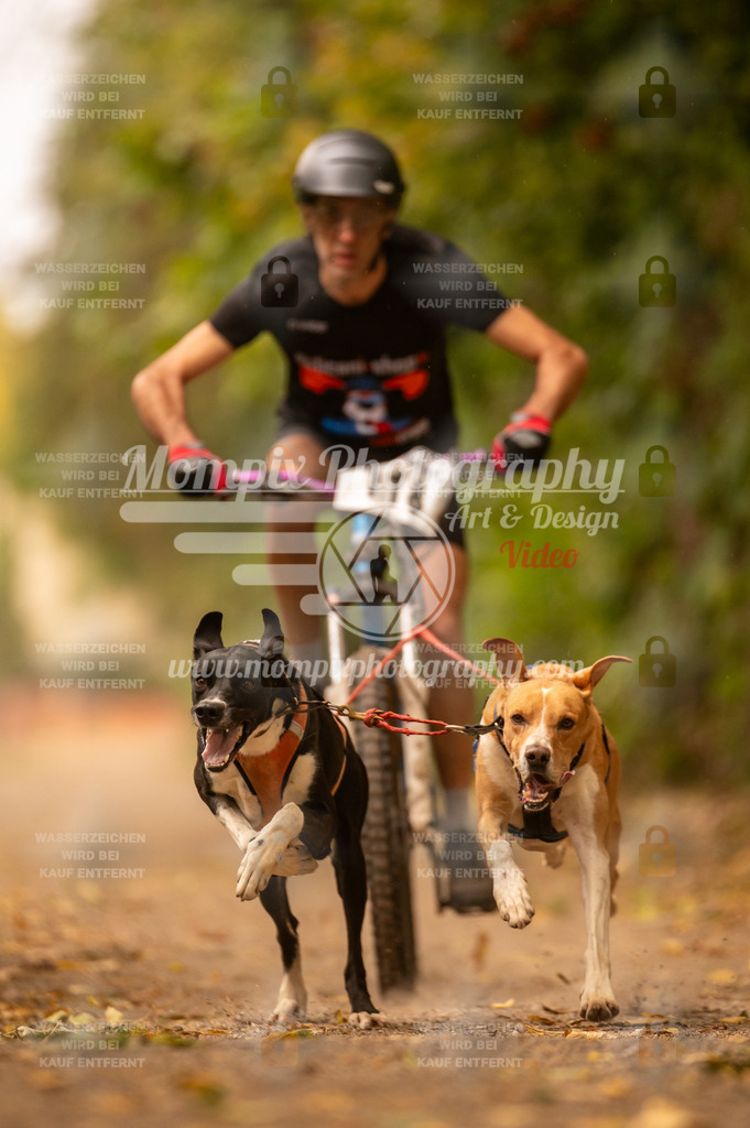 CDLBDB_14_10_2023_Samedi-186 | PayLife