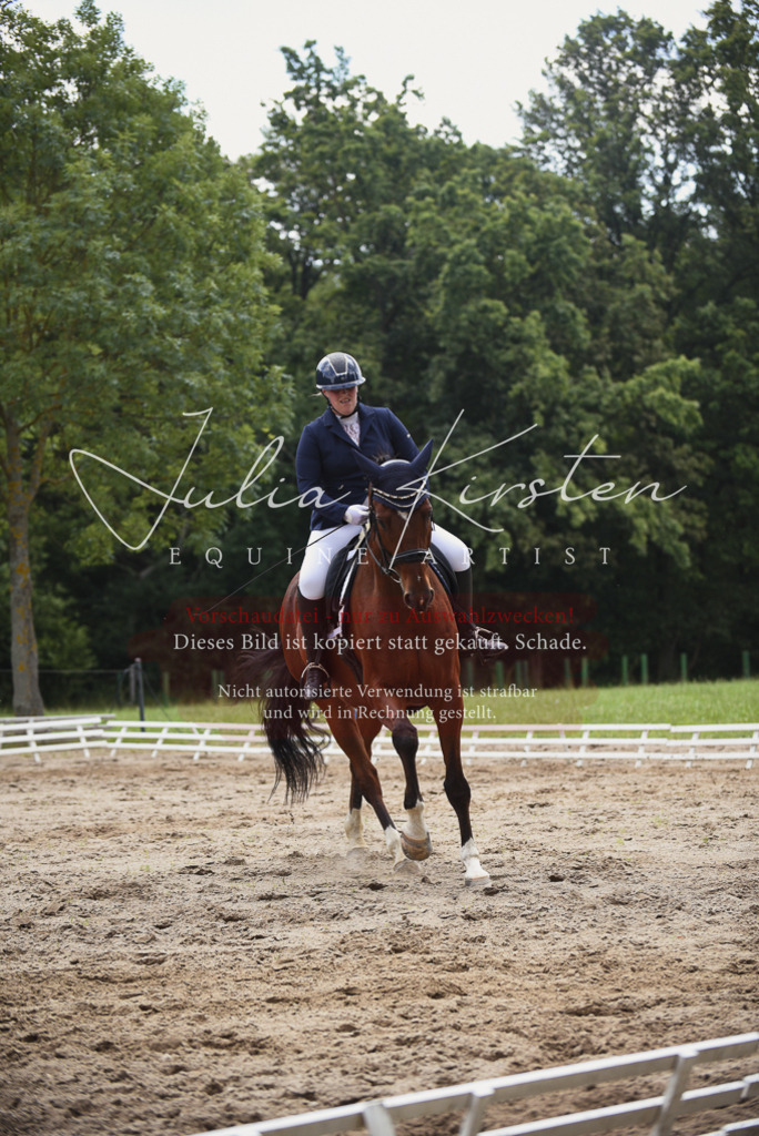 DSC_0834 | Pferde- und Turnierfotografie in Westsachsen. Pferdeportraits, Auftragszeichnungen und intuitive Kunst.