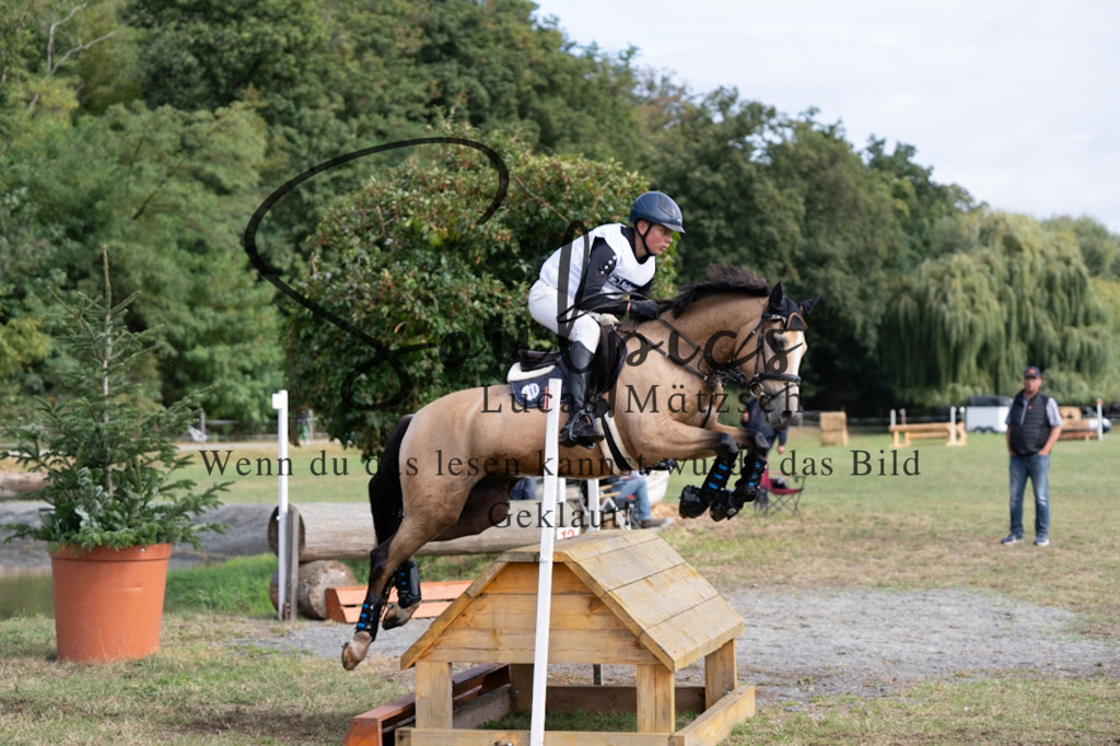 A7V00808 | Pferdefotograf