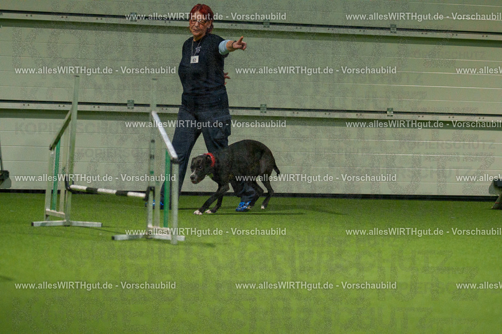 7R507390 | Professionelle Tierfotografie in Mönchengladbach von Daniel Wirth (allesWIRTHgut). Liebevolle & natürliche Bilder von Hunden & Katzen für unvergessliche Erinnerungen.