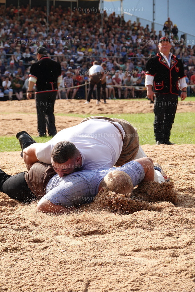 DSC01203 | Schwingen - Realisiert mit Pictrs.com