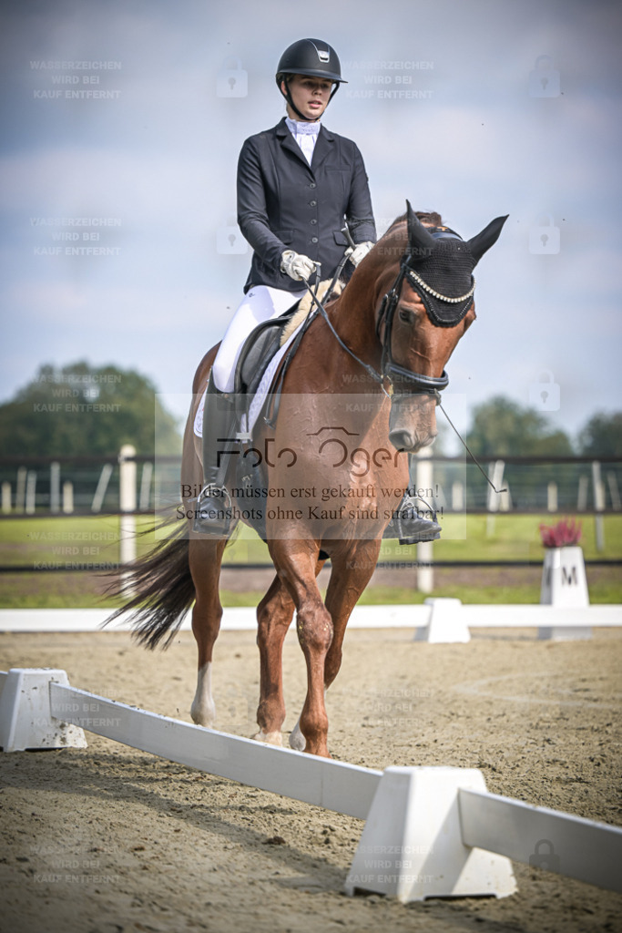 DOS_B667 | Entdecke hochwertige Reitturnierfotos von Foto Oger. Professionell, emotional und authentisch – jetzt Lieblingsmomente im Shop bestellen. - Realisiert mit Pictrs.com