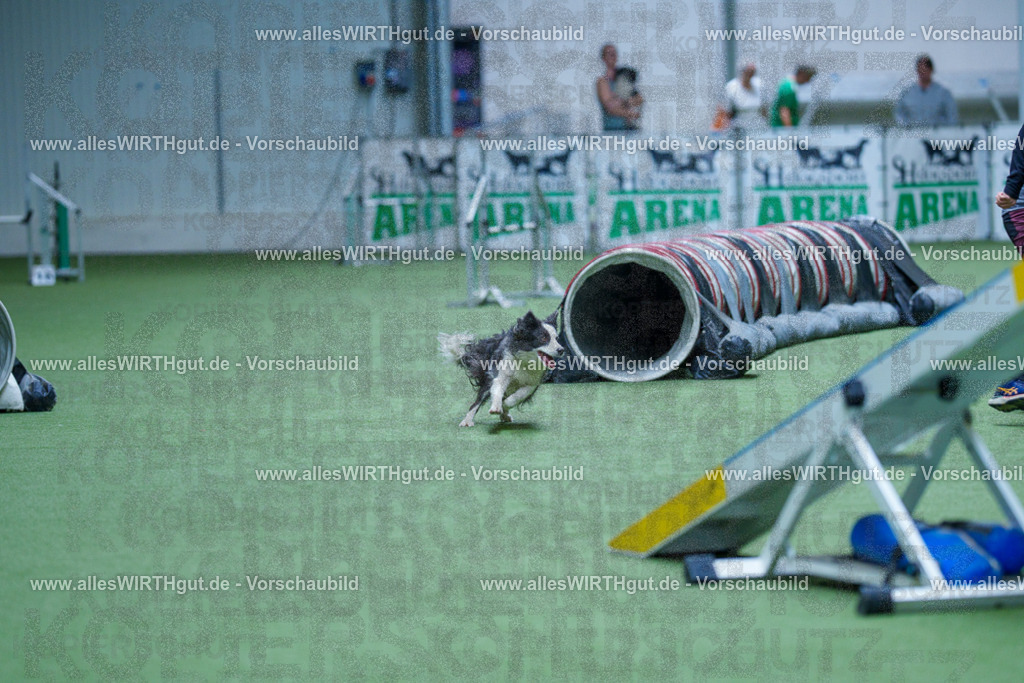 @allesWIRTHgut_Tierfotografie - www.allesWIRTHgut.de - 2604251353-7R504240 | Professionelle Tierfotografie in Mönchengladbach von Daniel Wirth (allesWIRTHgut). Liebevolle & natürliche Bilder von Hunden & Katzen für unvergessliche Erinnerungen.