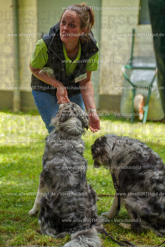 @allesWIRTHgut_Tierfotografie - www.allesWIRTHgut.de - 7R505977 | Professionelle Tierfotografie in Mönchengladbach von Daniel Wirth (allesWIRTHgut). Liebevolle & natürliche Bilder von Hunden & Katzen für unvergessliche Erinnerungen.