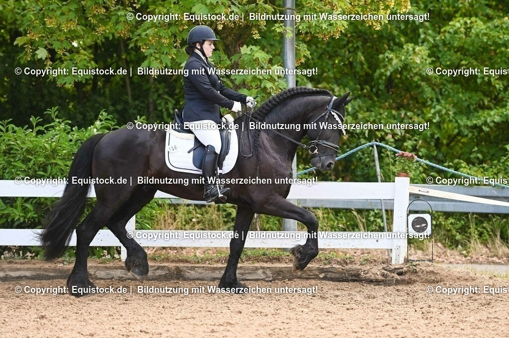 20230716_04_Dressurreiterprüfung Kl.A_0346 | equistock
