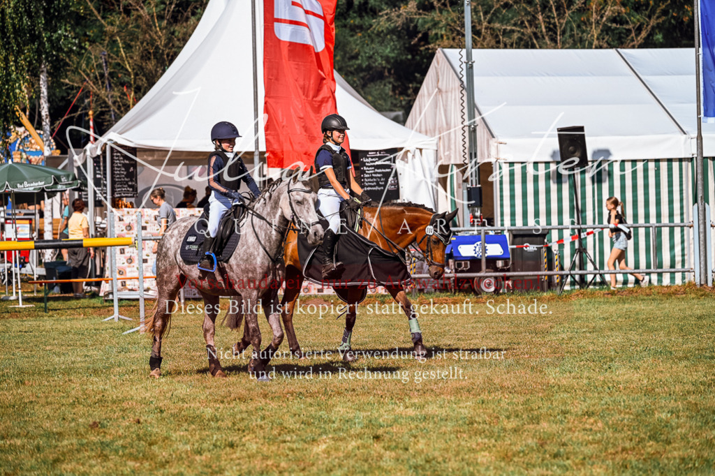 DSC_1202 | Pferde- und Turnierfotografie in Westsachsen. Pferdeportraits, Auftragszeichnungen und intuitive Kunst.