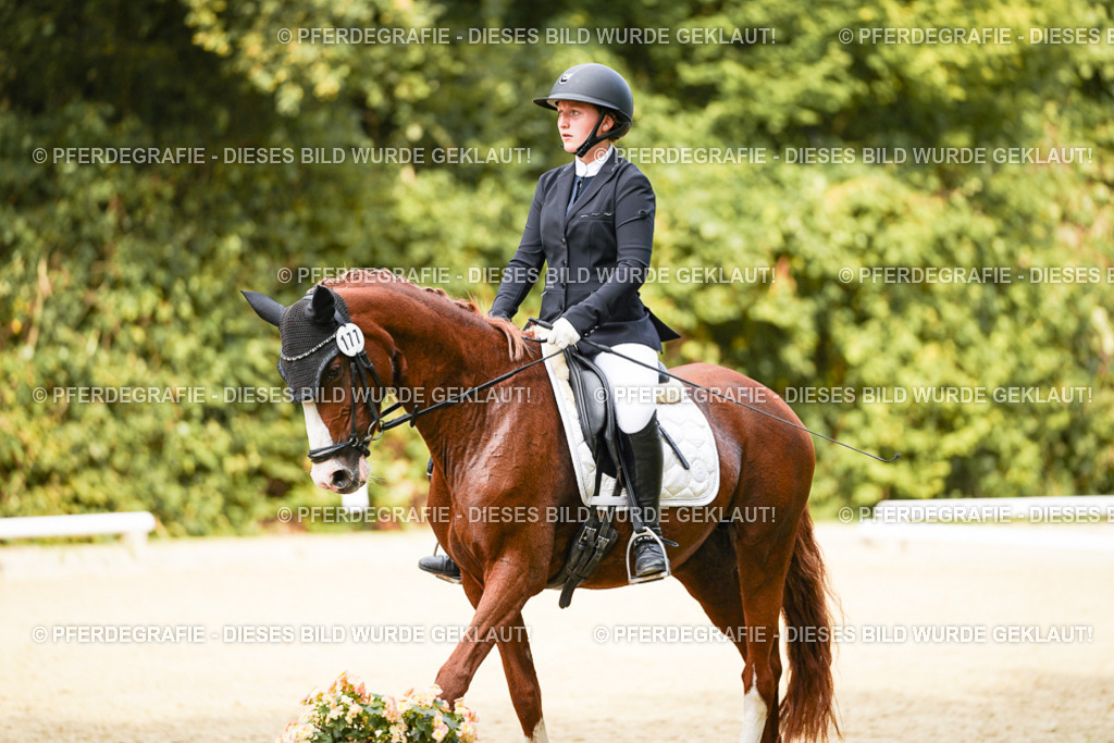 DSC03633 | Pferdegrafie